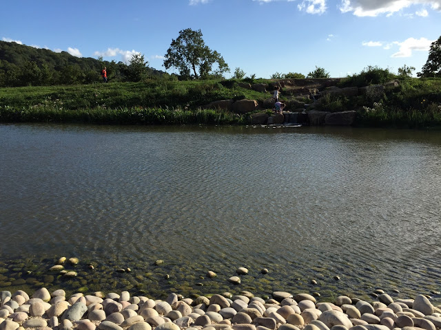 The lake outside Gloucester Services 